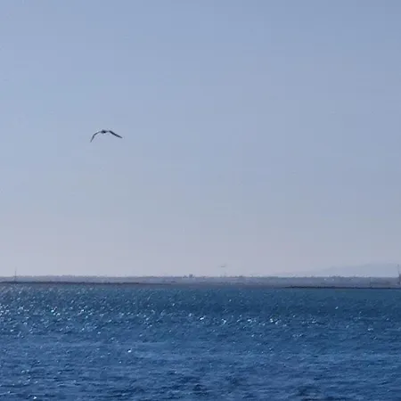 Divine Homestay Faro