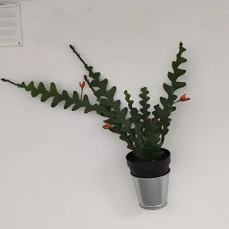 Divine Homestay Faro